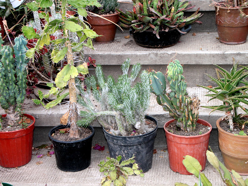 Planters — 3D printed